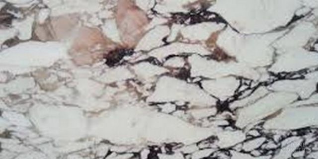 Calacatta Viola Marble