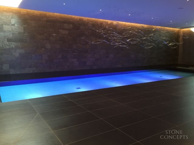 Fishes Black Blue Pool Hampstead 